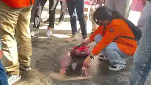 ikan-lele-dilempar.jpg