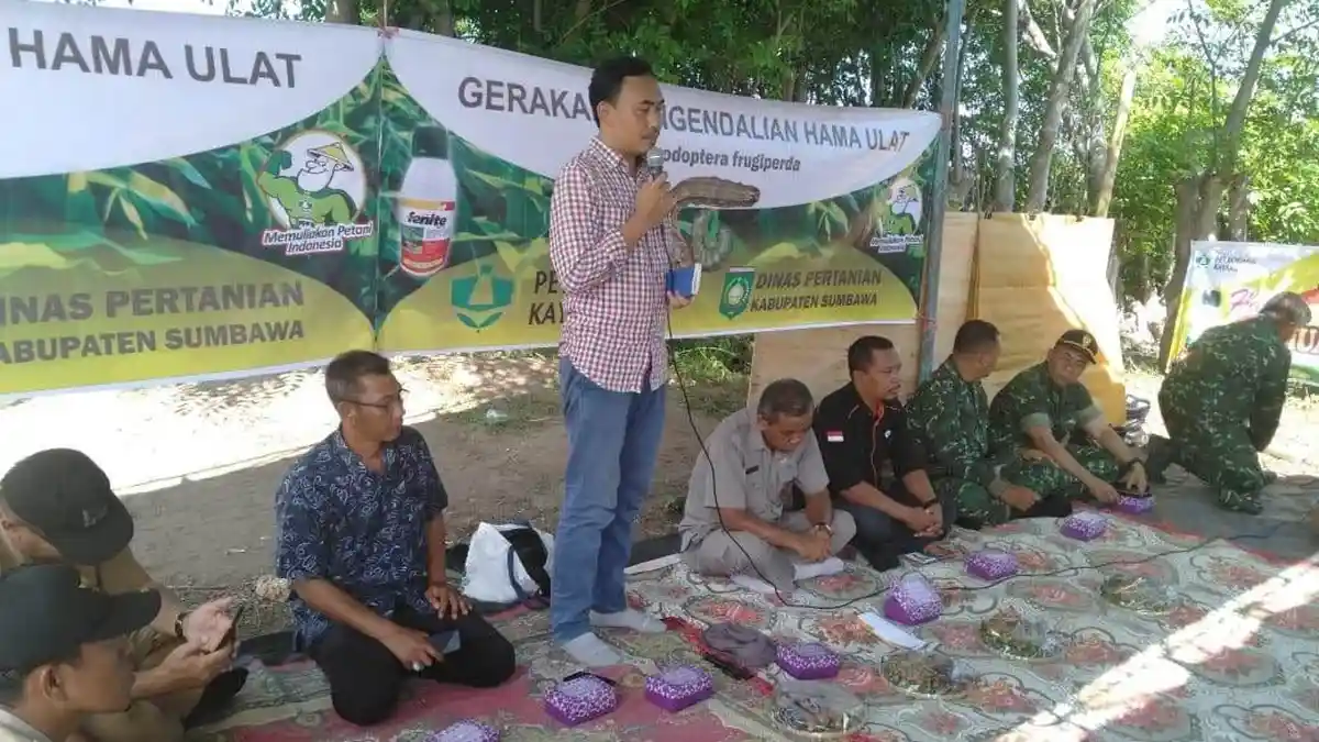 Kementan Aktif Lakukan Bimtek Pengendalian Hama Ulat Grayak Frugiperda