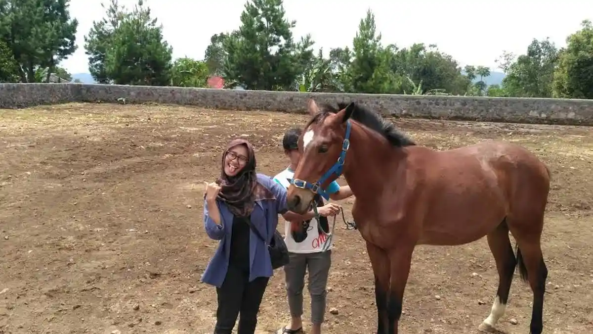 Ups! Hewan Ini Bisa Baca Ekspresi Orang Lho, Ini Tipsnya Jika Kamu Ingin Foto Sama Kuda