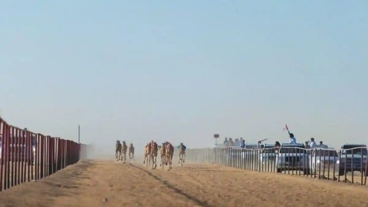 Suhu Udara 42-50 Derajat Celcius, Cegah Dampak Heat Stroke di Arab Saudi dengan Minum Rafa Khomsah