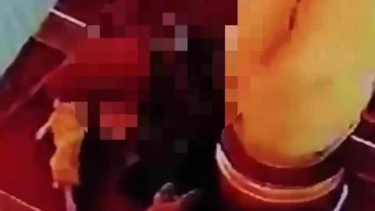 GEGER 2 Pria Berbuat Mesum dalam Masjid, Aksi Asusila Sesama Jenis Terekam CCTV, Videonya Viral