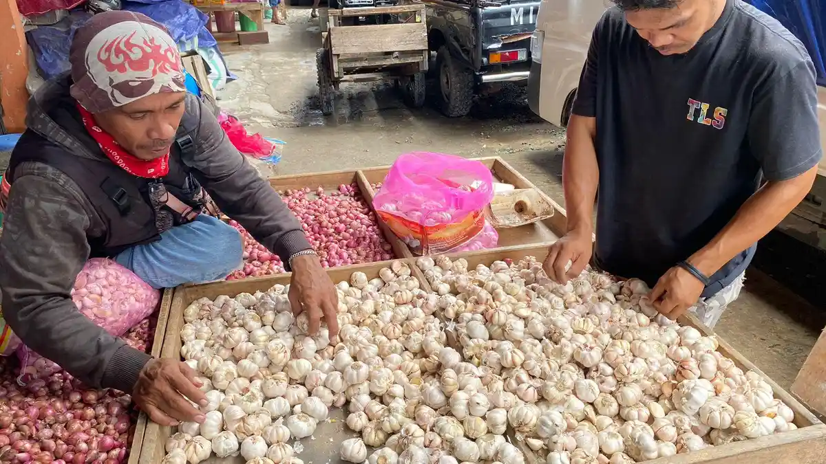 Harga Bawang di Ambon Mulai Turun ke Rp. 50 Ribu Per Kilogram