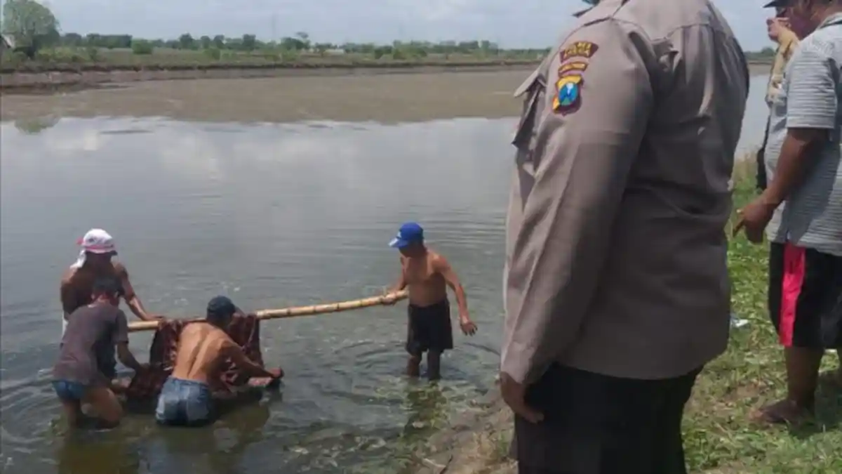 Pergi ke Tambak, Petani ini Tak Sengaja Temukan Mayat Pria Mengapung, Warga Sekitar Heboh