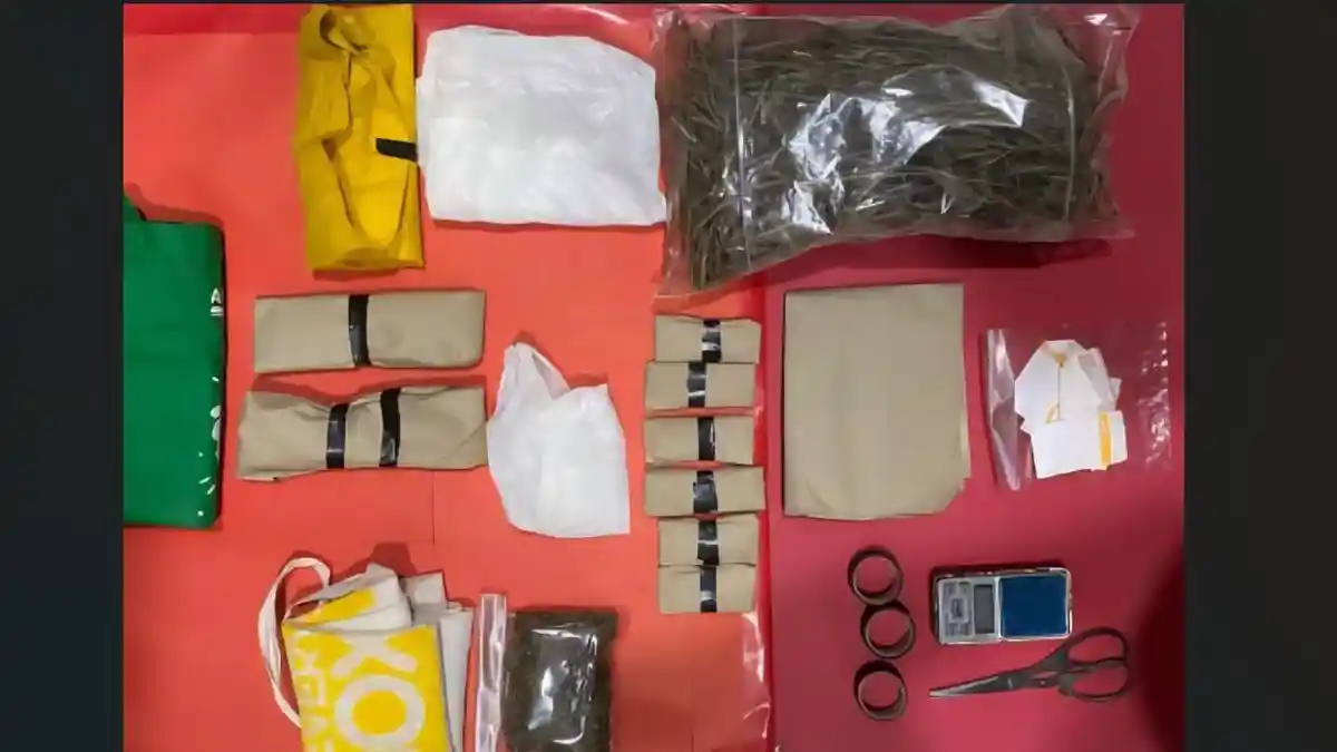 Polisi Sita Setengah Kilogram Ganja Siap Edar dari Pria Asal Wangon Banyumas