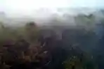 Kebakaran Lahan di Pontianak