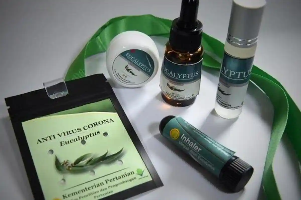 Kementan Luncurkan Antivirus Corona Berbahan Eucalyptus, Ini 7 Manfaat Eucalyptus untuk Kesehatan