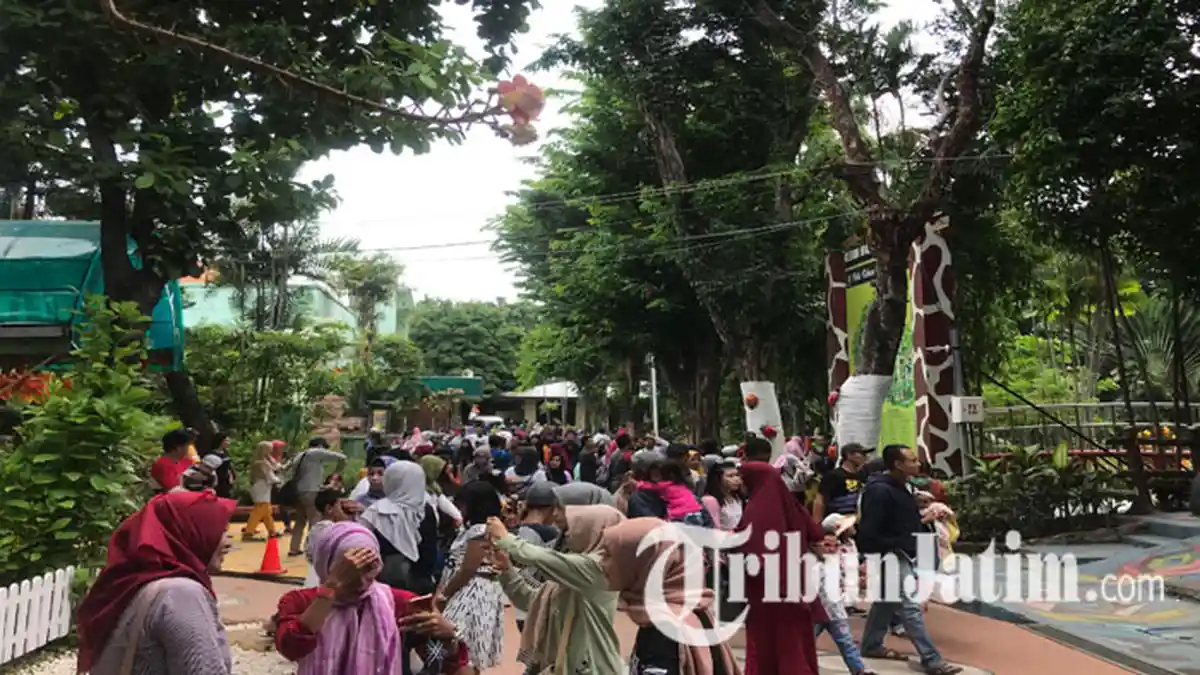 Momen Libur Natal Dimanfaatkan Orang Rekreasi ke Kebun Binatang Surabaya, Pengunjung Tembus 27 Ribu