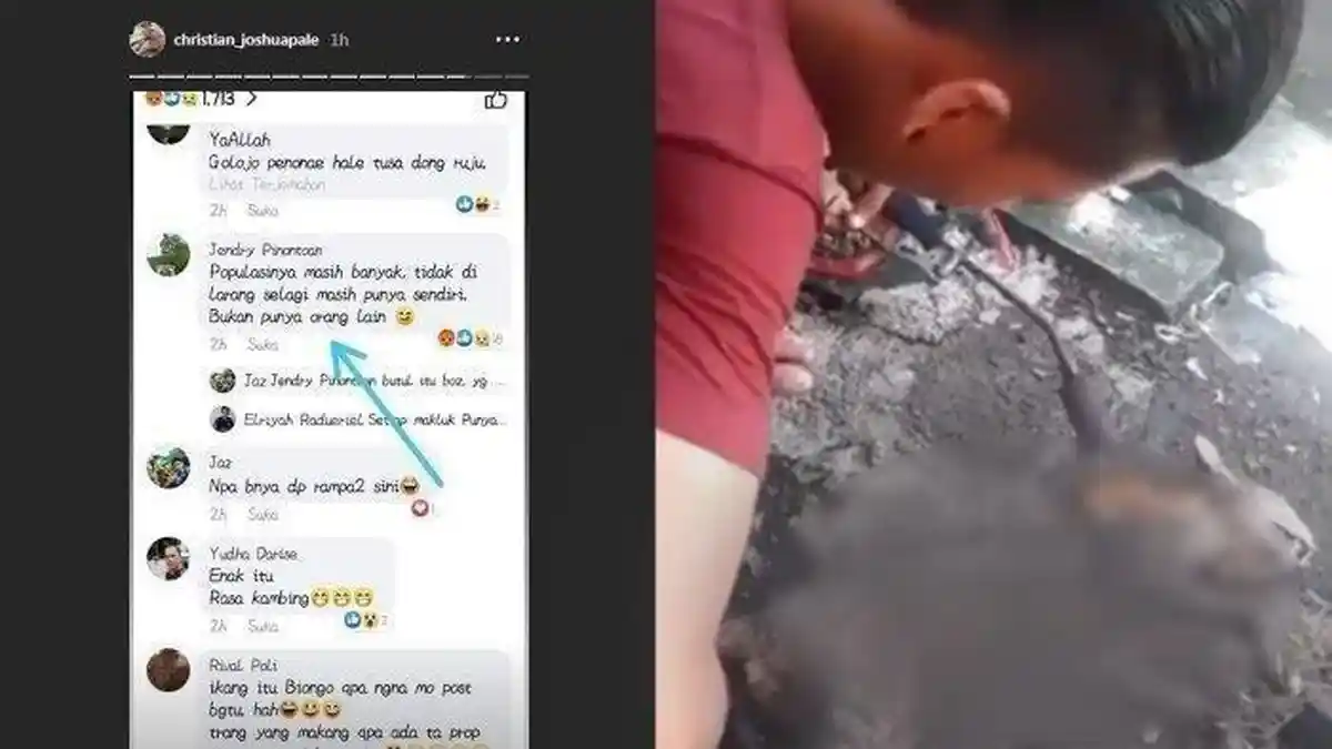 Viral Seorang Pemuda Bakar Kucing Pakai Nozzle Las dan Memakan Dagingnya, Ternyata Hobi Makan Kucing