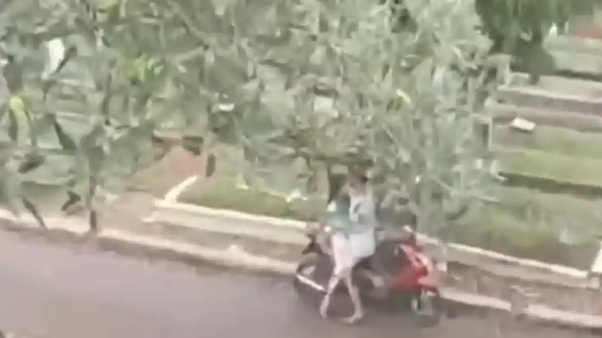 Viral Video ABG Pangku-pangkuan Mesum di Atas Sepeda Motor, Polisi Cek ...