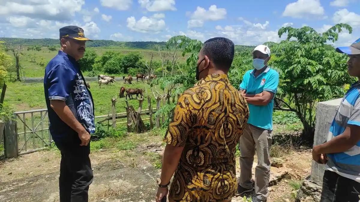 Bupati Khristofel Praing Tinjau Breeding Center Pemkab Sumba Timur