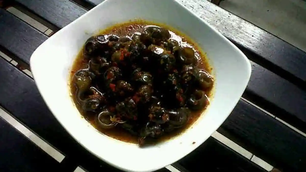 Sambil Diseruput, Kenyalnya Daging Tutut Semerbak Rempah Keluar dari Cangkangnya