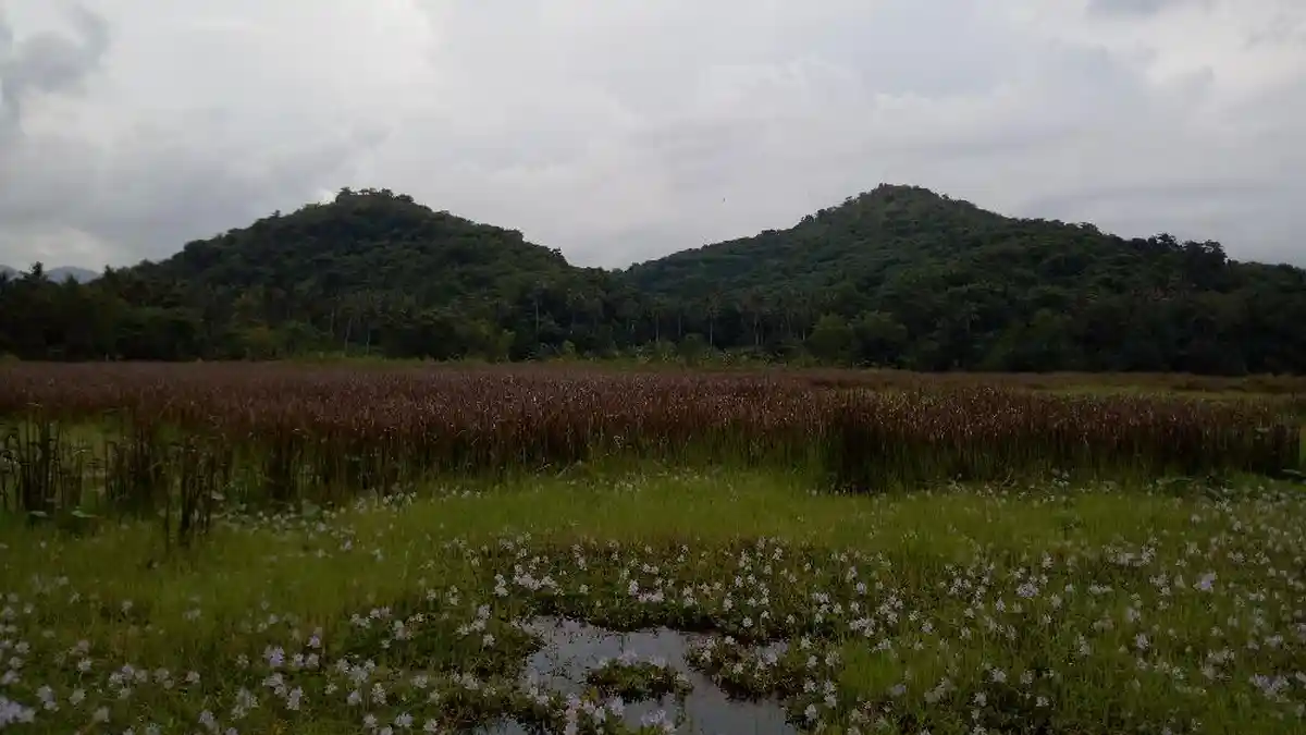 Normalisasi Danau Yeh Malet Kendala Anggaran, Kini Dangkal Tanpa Kunjungan Wisatawan, BWS Ungkap ini