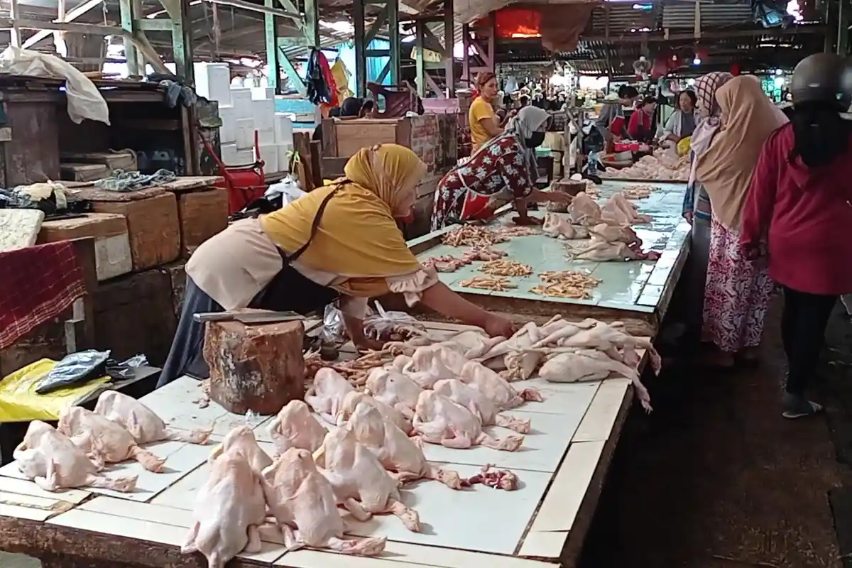 Harga Ayam di Pasar Remu Kota Sorong Naik Rp10 Ribu