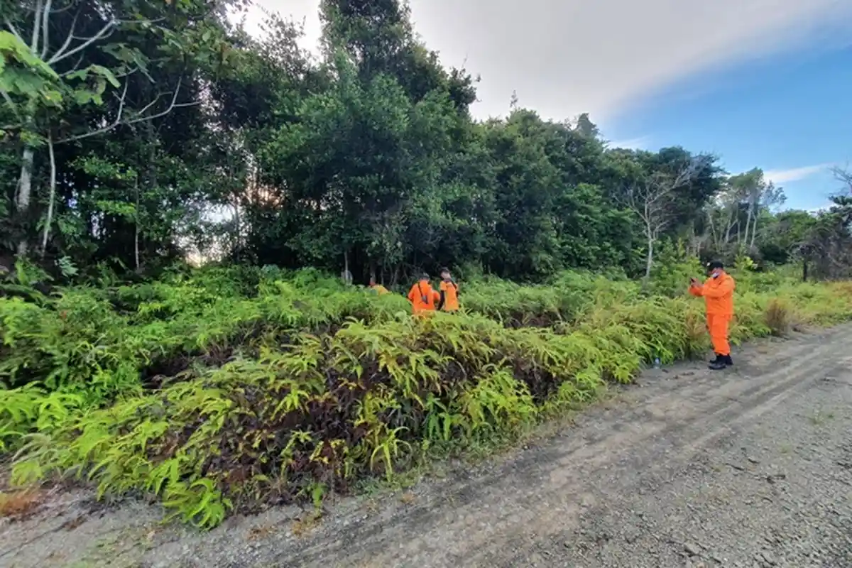 Hendak Buka Lahan, 2 Warga Tarakan Kalimantan Utara Diduga Tersesat di Hutan, Basarnas Turun Tangan