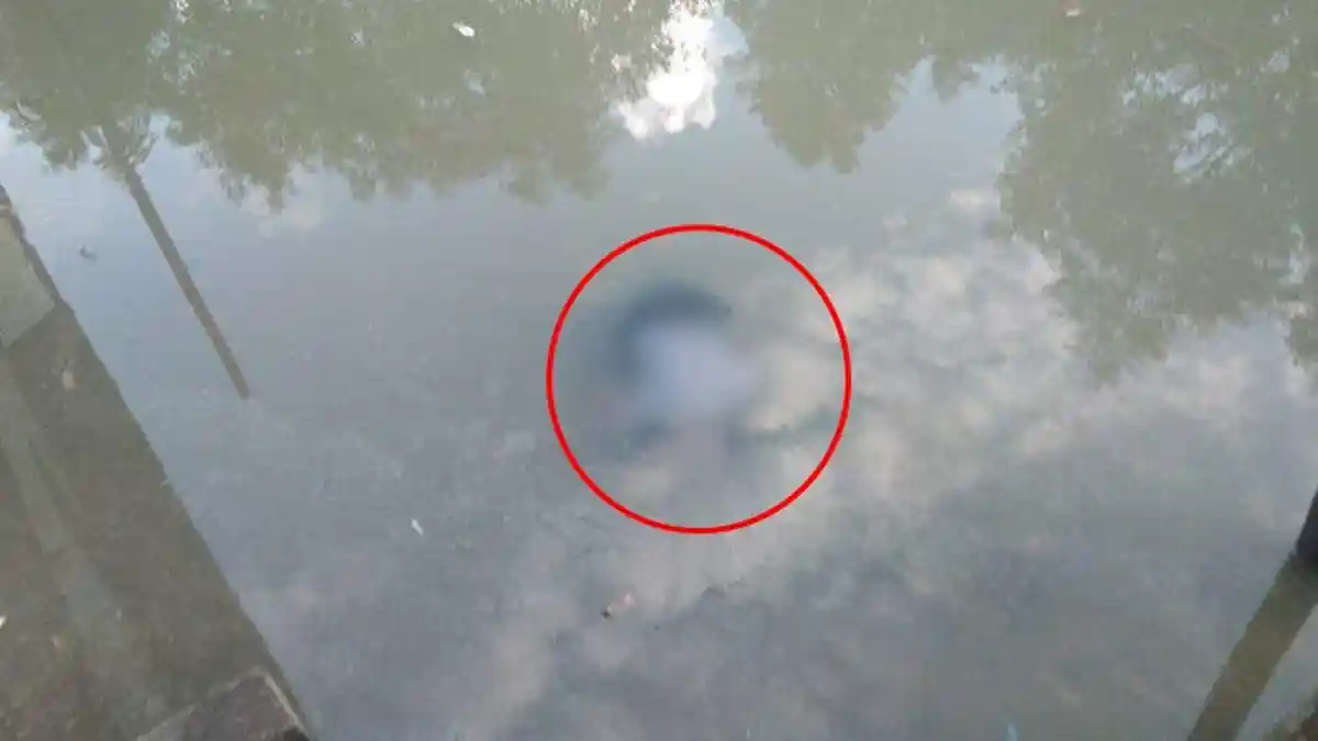 BREAKING NEWS Warga Temukan Mayat Mengapung di Sungai Lingkas Ujung Tarakan