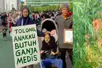 Tulisan Seorang Ibu agar Ganja Dilegalkan Berlanjut ke DPR RI