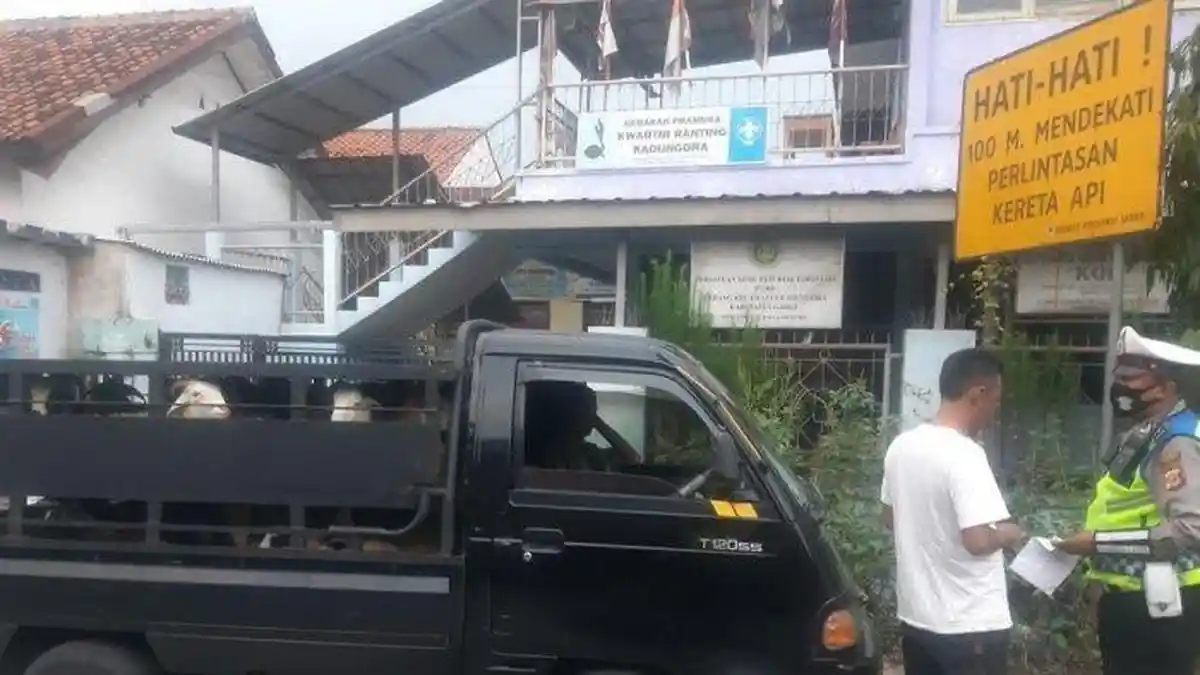 Kendaraan Pengangkut Hewan di Perbatasan Garut Disuruh Putar Balik, Ini Penjelasan Polisi