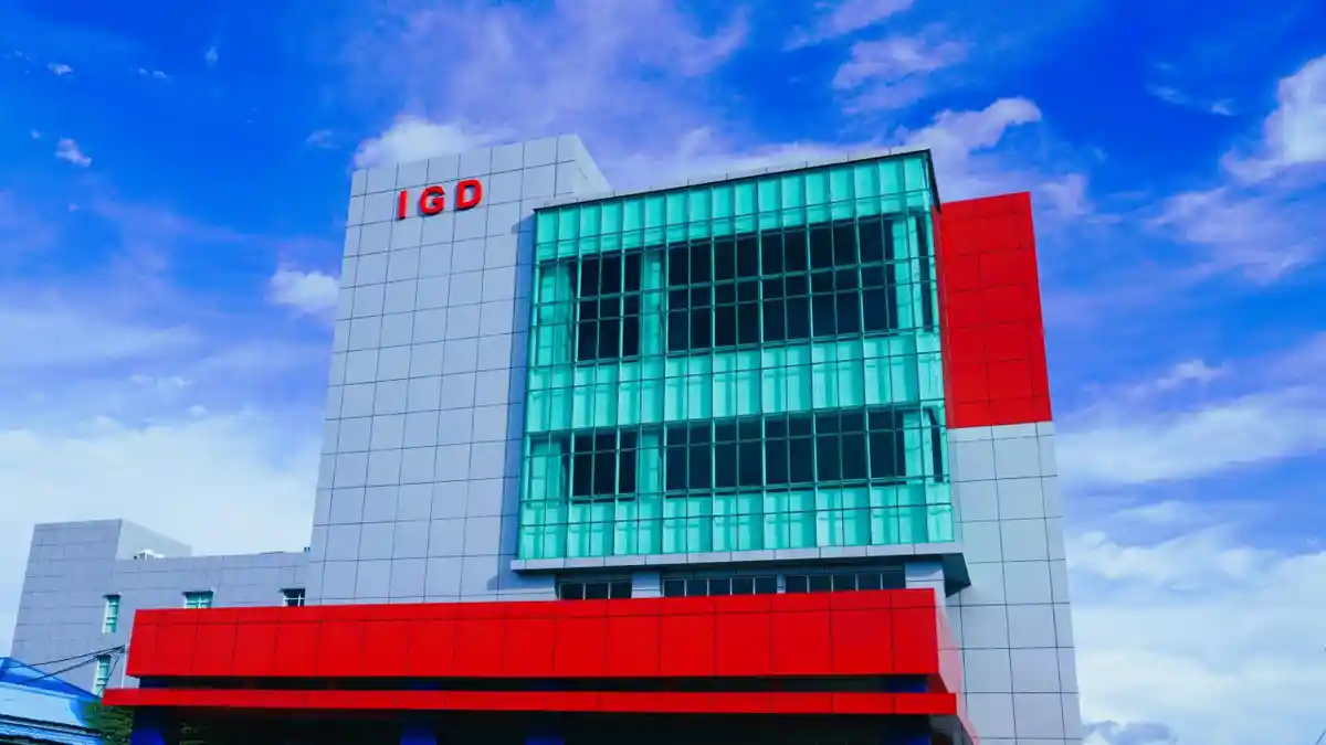 Update DBD Kapuas Hulu Terbaru: Total 179 Kasus, 1 Anak Meninggal Dunia dan 5 Pasien Masih Dirawat