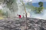 Petugas-pemadam-kebakaran-melakukan-proses-pemadaman-api.jpg