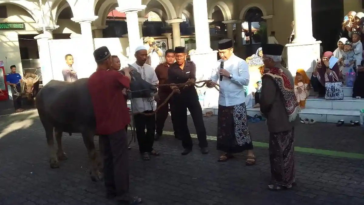 Alasan Bupati Kudus Hartopo Pilih Kurban Kerbau, Tahun Ini Serahkan Lima Ekor Hewan