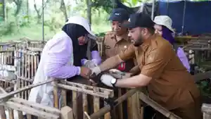 Sidak-Jelang-Idul-Adha-Plt-Wali-Kota-Batu-Pastikan-Hewan-Kurban-Sehat-Warga-Tak-Perlu-Was-Was.jpg