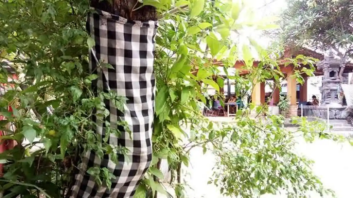 Jangan Sembarangan Kencing di Pohon saat Liburan ke Bali