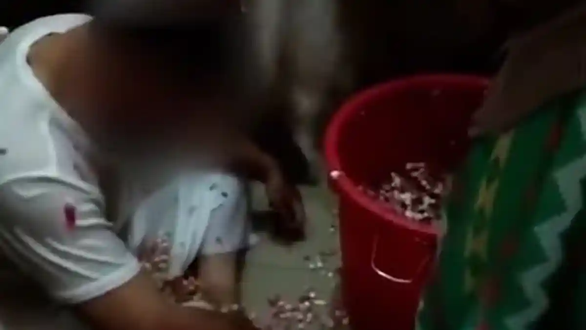 7 Fakta yang Terjadi dari Caleg Gagal Terpilih, Tarik Bantuan Aspal hingga Bakar Surat Suara