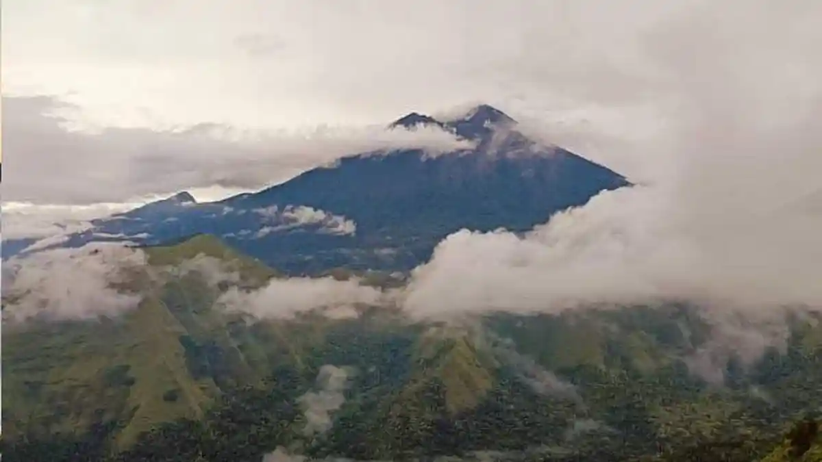 Petualangan 3 Jam Menuju Puncak Kondo, Tempat Menyapa Rinjani dari Dekat
