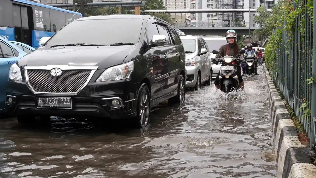 Daya Rusak Air, Kotoran Hewan dan Getah Pohon Ketika Menempel di Cat Mobil