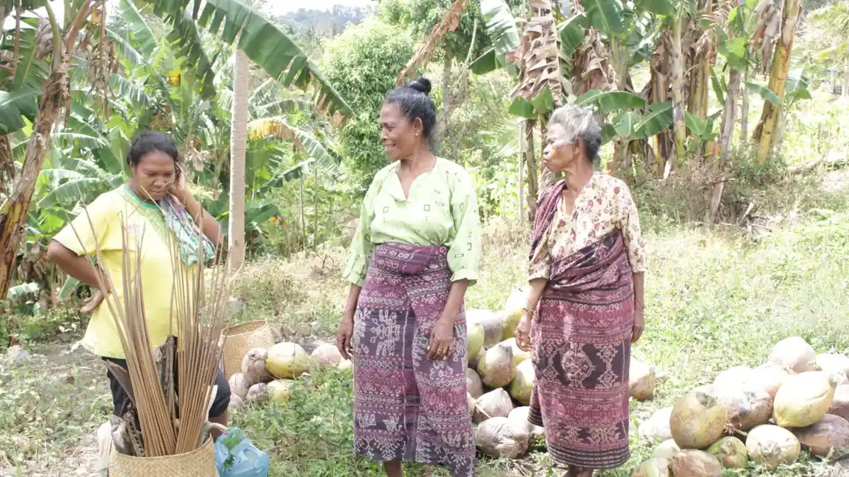 Jual Ubi dan Kalapa,Warga Nelle Wutung Beli Air Bersih