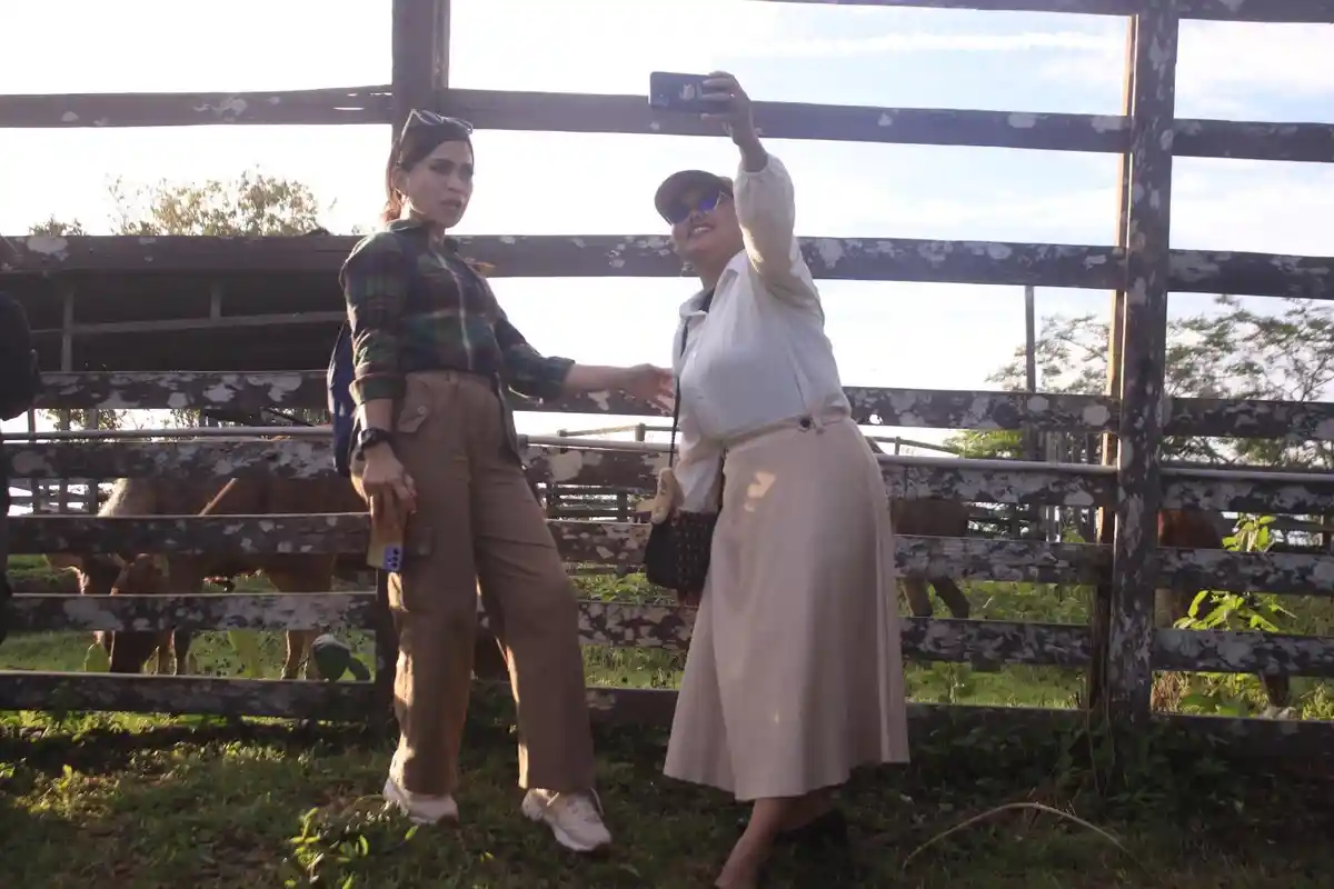 Rusa Sambar PPU Memikat Perhatian Pengunjung untuk Berswafoto