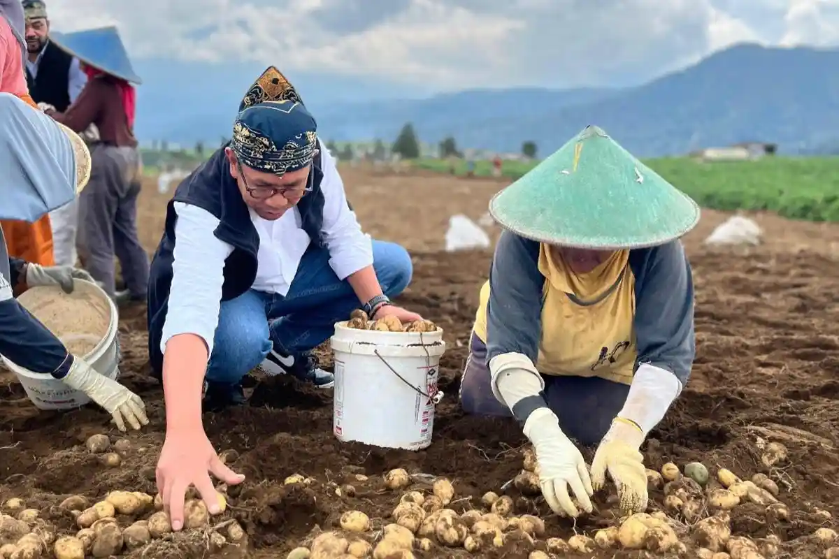 Eksistensi CooSAE, Koperasi di Kota Batu dengan Omzet Perdagangan Lintas Anggota Rp 2 Miliar / Bulan
