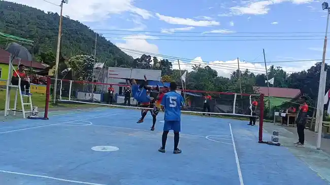 Tribun