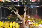toko-buah-yang-terbakar-akibat-korsleting-listrik-di-desa-suci.jpg