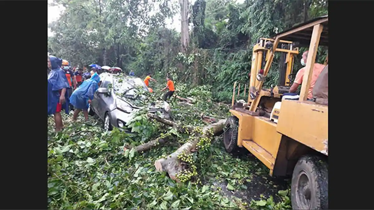 Pohon Tumbang Timpa Mobil di Beringkit, Angin Puting Beliung Rusak Bangunan