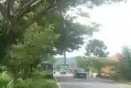 Pohon di Bahu Jalan Mulai Lapuk Potensi Bahayakan Pengendara di Luwu