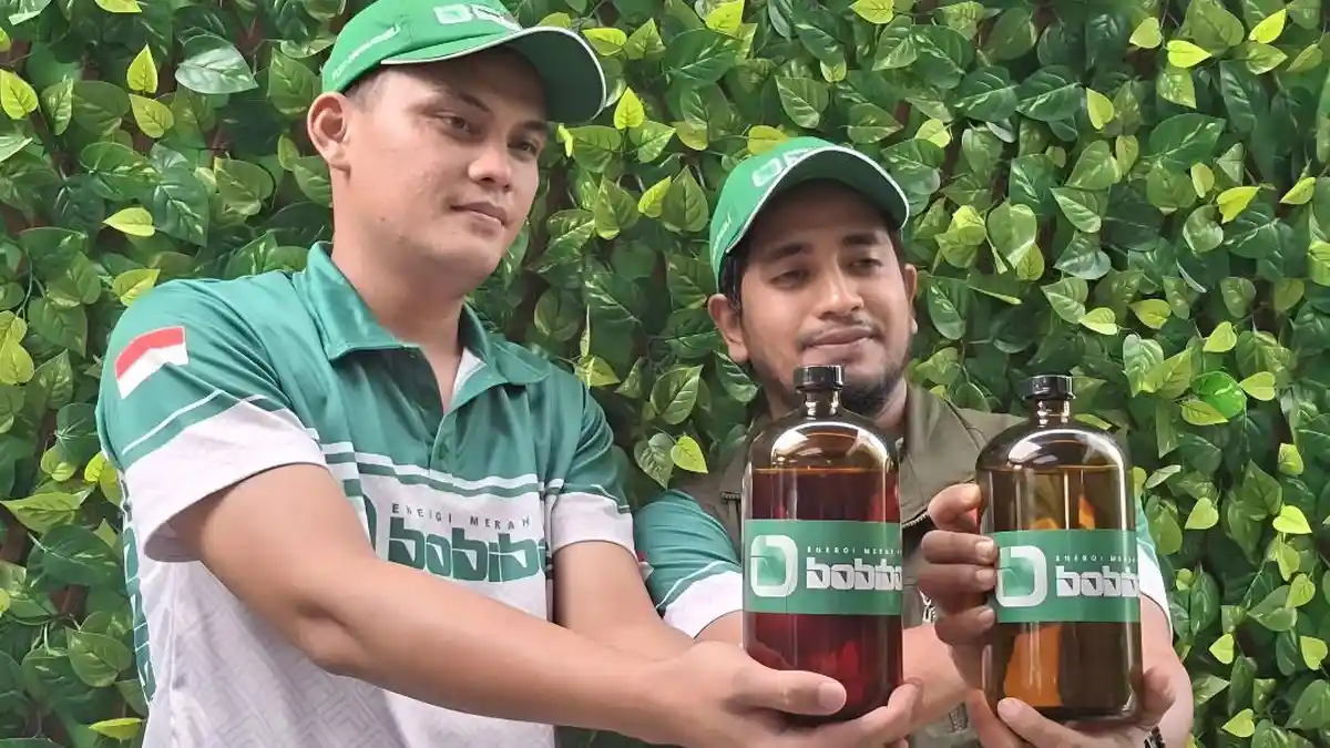 Apa Itu Bobibos? Apa Kandungannya dan Amankah untuk Mesin?
