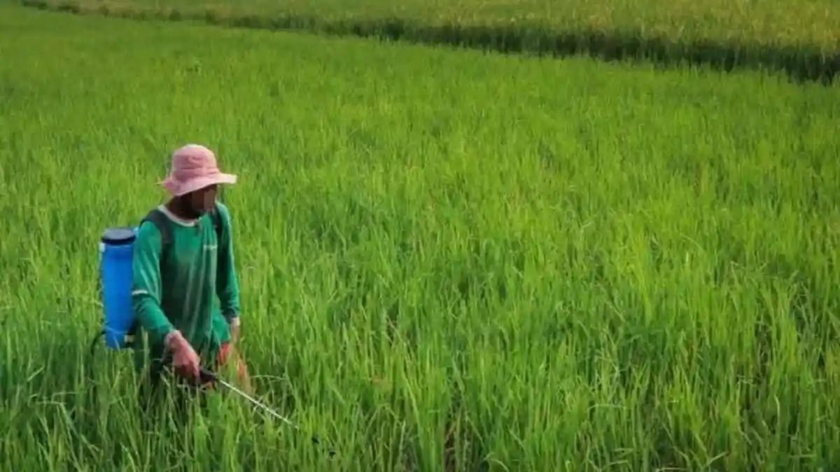 Komisi IV DPR RI Peringatkan Prabowo Terkait Upaya Penghapusan Utang Petani dan Nelayan