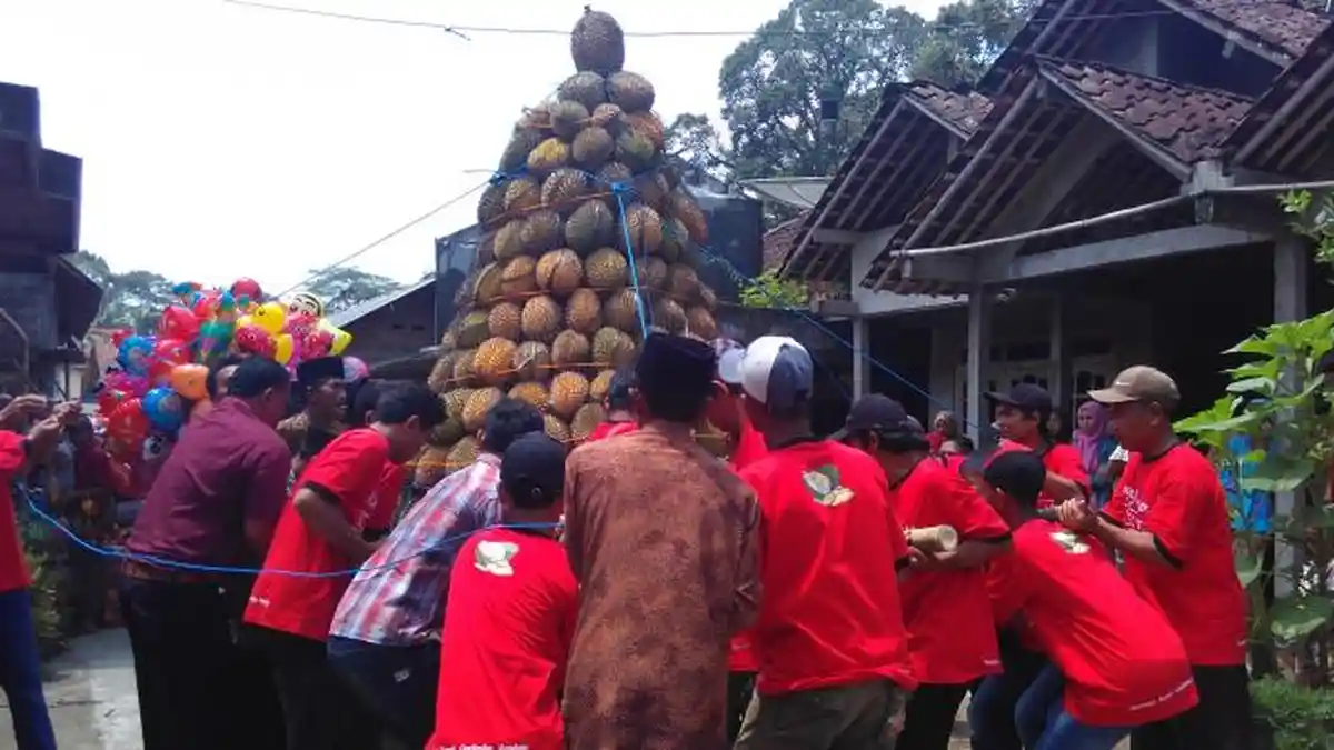 Kampung Durian di Magelang, Aromanya Sudah Terasa Saat Anda Memasuki Desa Ini