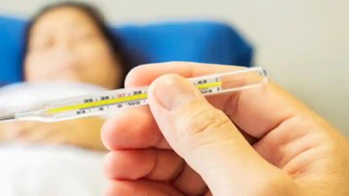 Cara Mengobati Penyakit Tipes, Minum Antibiotik hingga Perbanyak Konsumsi Air Putih