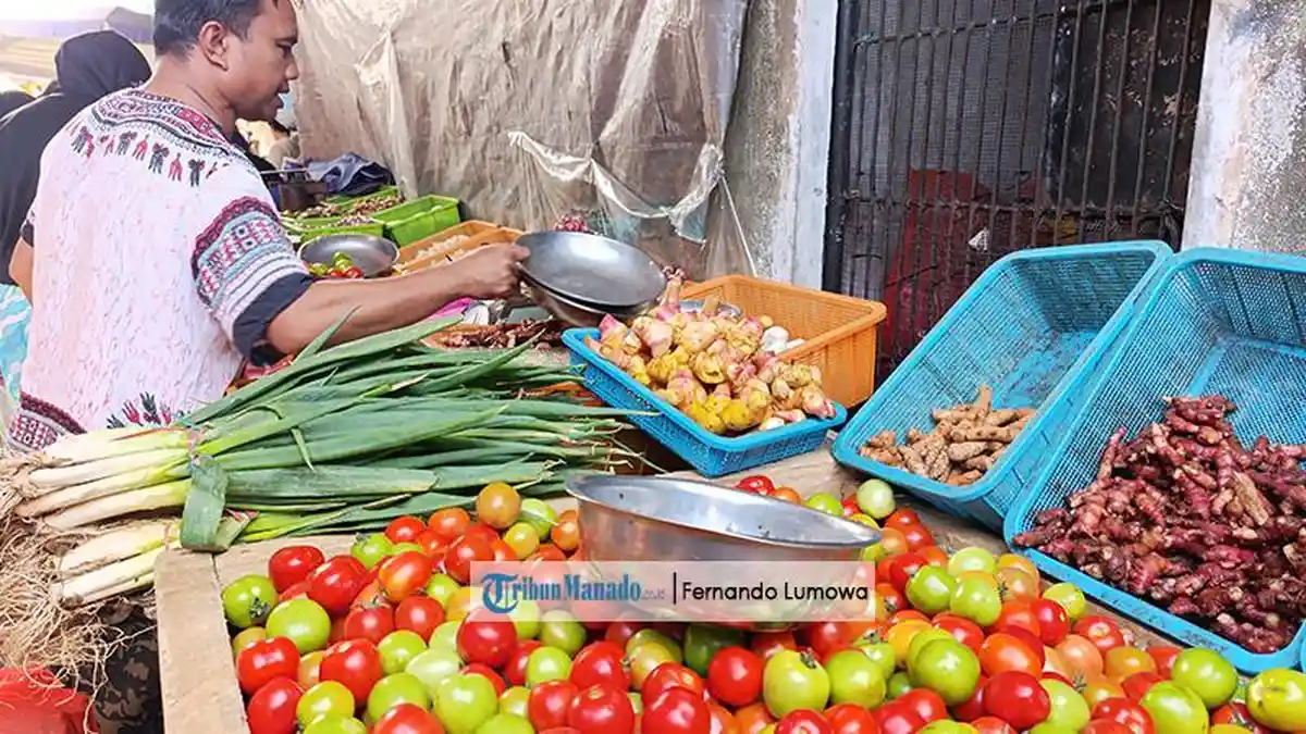 Harga Rica di Manado Turun, Tomat Murah Cuma Rp 5 Ribu per Kilogram