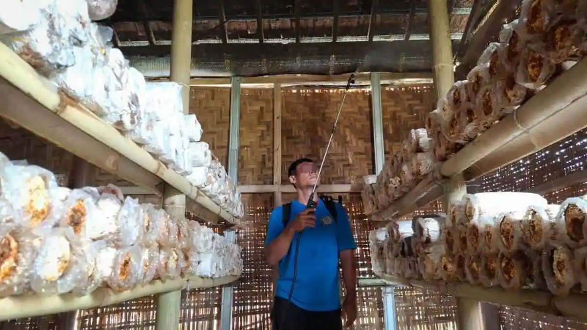 Lapas Kediri Kembangkan Budidaya Jamur Tiram, Warga Binaan Hasilkan Panen 30 Kilogram