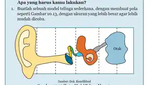 Kunci-Jawaban-Bahasa-Inggris-Kelas-8-Halaman-141-142-cover.jpg