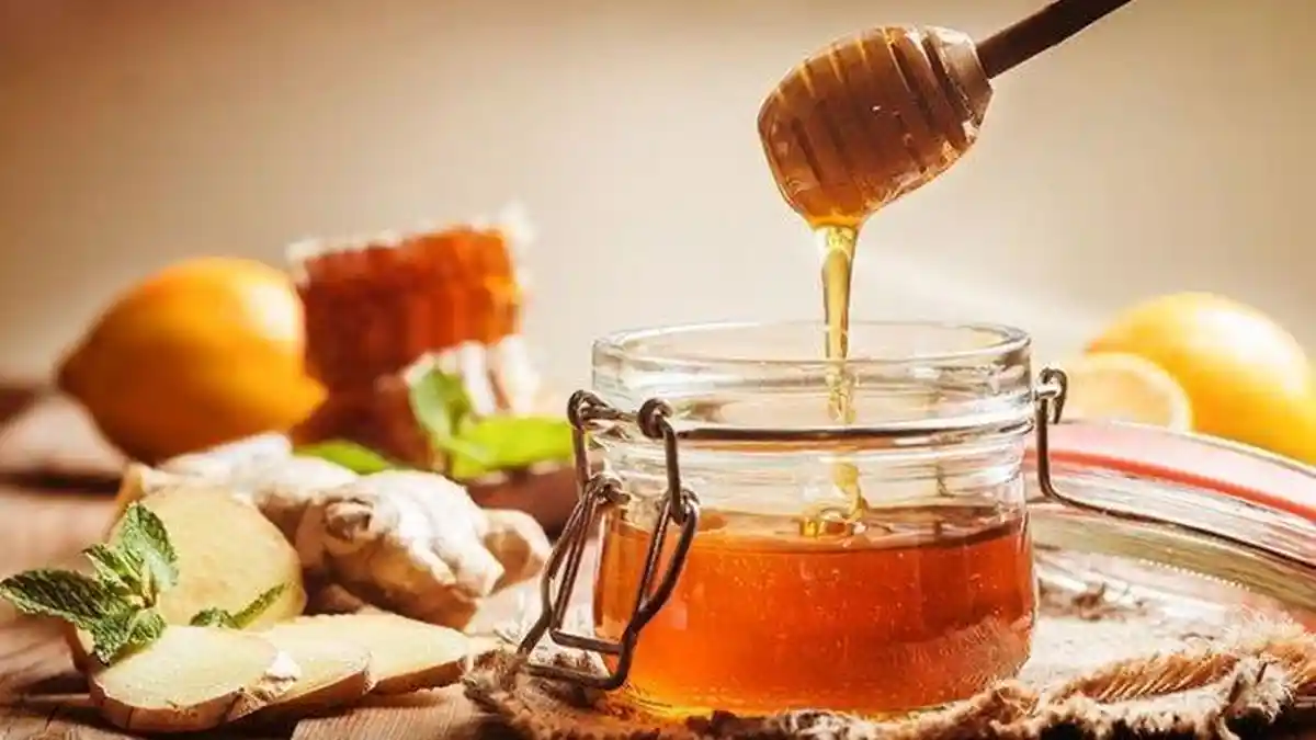 4 Alasan Madu Wajib Dikonsumsi Oleh Orang Sibuk