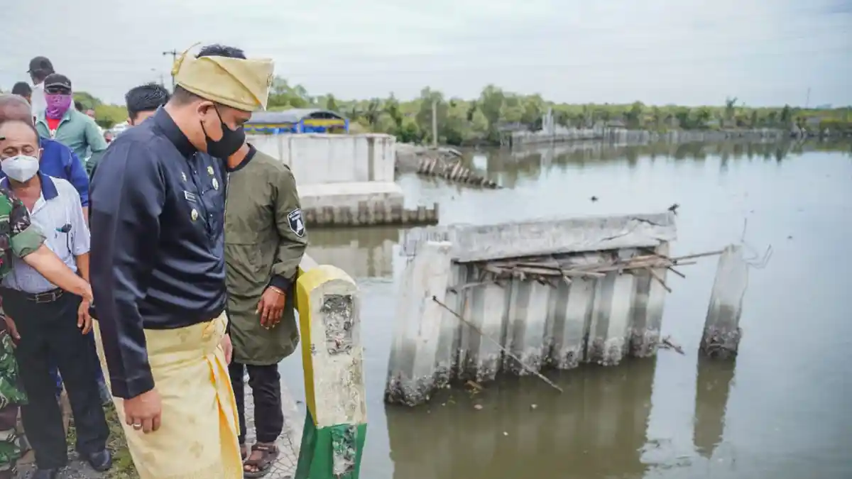 Realisasikan Janji Kampanye, Bobby Nasution Butuh Banyak Dukungan, Pengamat USU Bilang Ini