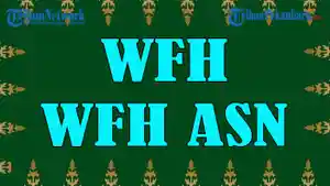 Apa-Arti-dari-WFH-Apa-Arti-WFH-ASN-Syarat-WFH-ASN-Pengecualian-WFH-ASN-75-Layanan-Publik.jpg