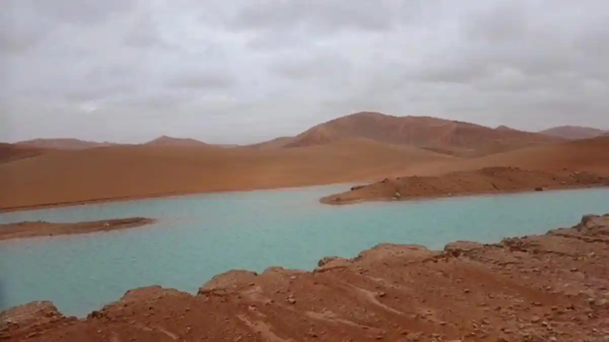 Fenomena Langka! Gurun Pasir yang Tandus di Arab Saudi Kini Berubah Menjadi Danau