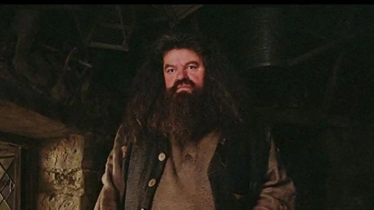 Robbie Coltrane Pemeran Hagrid  Meninggal Dunia, Sempat Sakit Selama 2 Tahun
