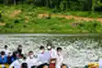Presiden Jokowi Dayung Perahu Naga di Bendungan Ladongi