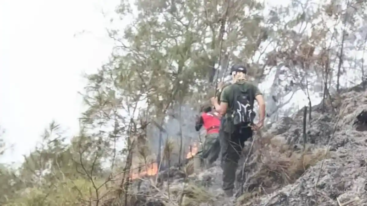 282 Hektare Lahan Bukit Sempana Hangus Terbakar, Api Menjalar hingga Bukit Jaran Kurus
